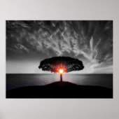 Poster Sunset Sunrise (Devant)