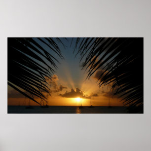 Poster Sunset Through Palm Fronds