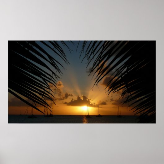 Poster Sunset Through Palm Fronds (Devant)