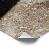 Poster Sunshine Love... (Coin)