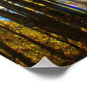 Poster Sunstar (Coin)