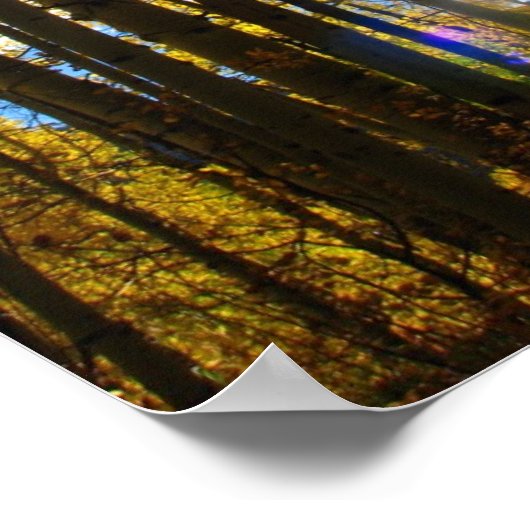 Poster Sunstar (Coin)