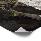Poster Sunwapta Falls Parc national Jasper (Coin)