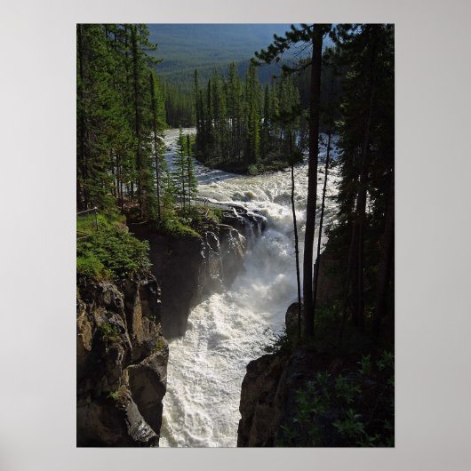 Poster Sunwapta Falls Parc national Jasper (Devant)