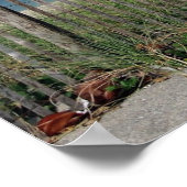 Poster Super ! (Coin)