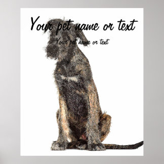 Poster Super Cool Irlandais Wolfhound Dog