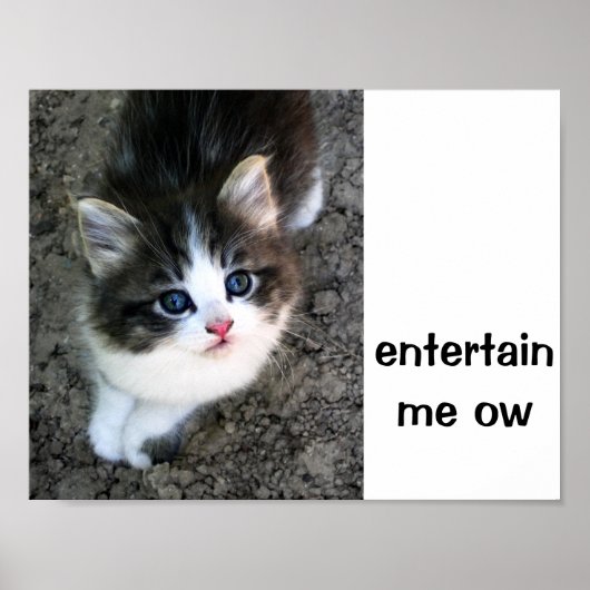 Poster SUPER CUTE Kitten Personnalisable (Devant)