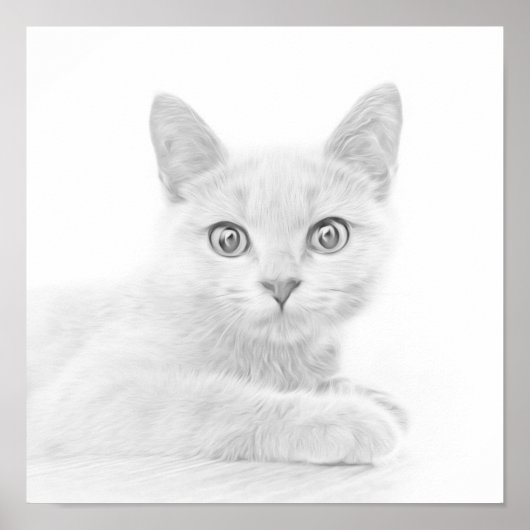 Poster SUPER CUTE Kitten Portrait Photographie (Devant)