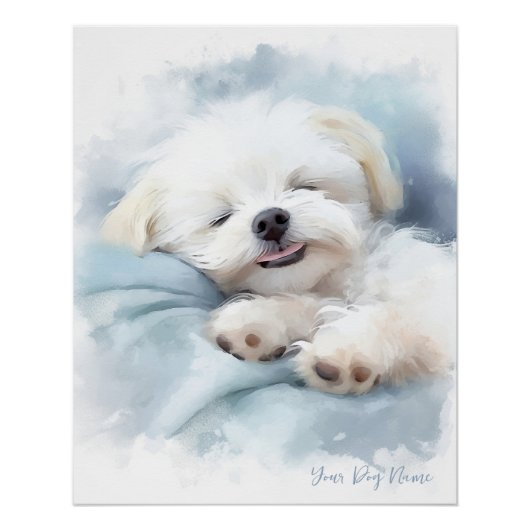 Poster Super mignon ange couchant chiot maltais chien 001 (Devant)