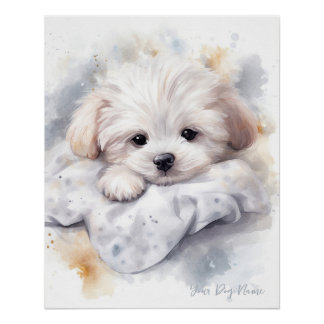 Poster Super mignon ange couchant chiot maltais chien 002