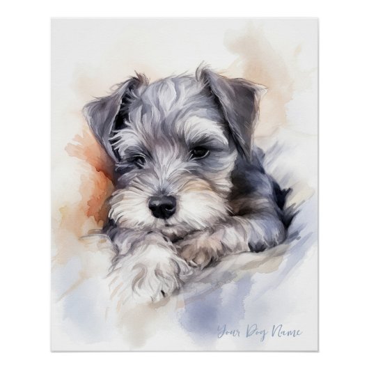 Poster Super mignon ange couchant chiot Schnauzer Chien 0 (Devant)