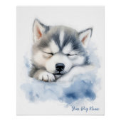 Poster Super mignon ange couché chiot Siberian Husky Chie (Devant)