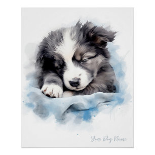 Poster Super mignon ange dormant chiot Border Collie chie