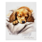 Poster Super mignon ange dormant chiot Dachshund Chien 00 (Devant)
