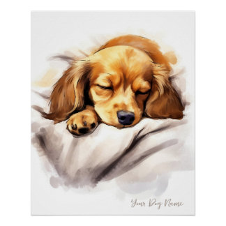 Poster Super mignon ange dormant chiot Dachshund Chien 00