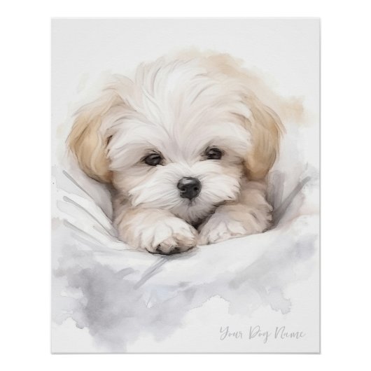 Poster Super mignon ange dormant chiot maltais chien 005 (Devant)