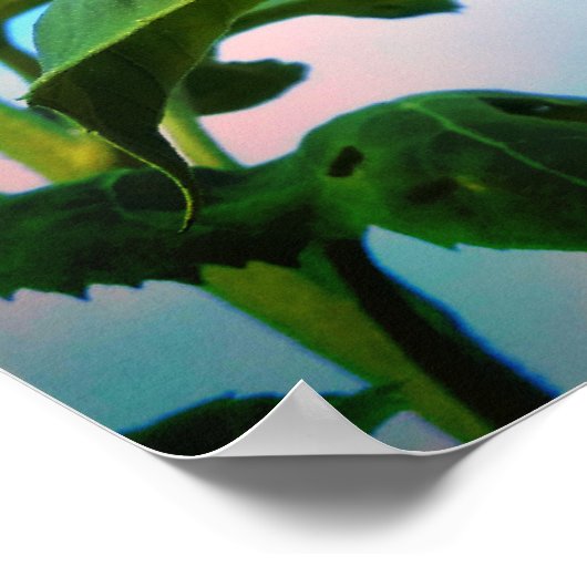 Poster Super Sunflower (Coin)