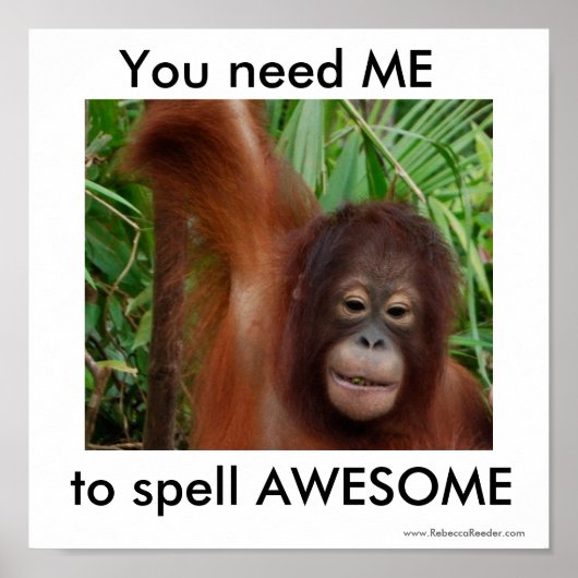 Poster Super : vous avez besoin de moi (Devant)