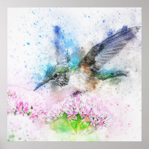 Poster Superbe aquarelle de colibri