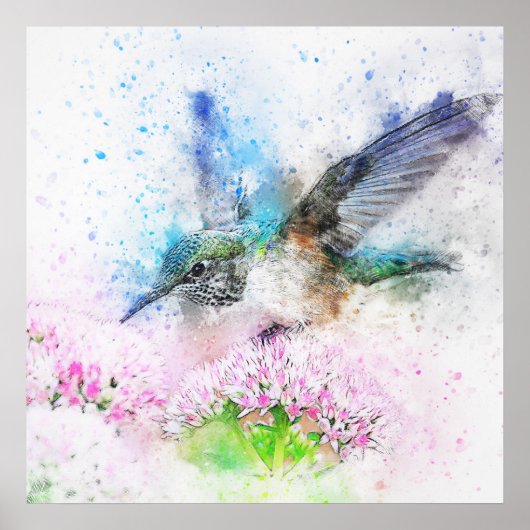Poster Superbe aquarelle de colibri (Devant)