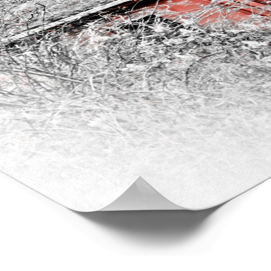 Poster Superbe Barne Rouge (Coin)