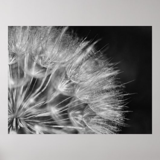 Poster Superbe boume de pustère en noir et blanc (Devant)