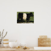 Poster Superbe ceinture Galloway Steer Beltie (Cuisine)