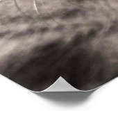 Poster Superbe félin de table lécher la patte (Coin)