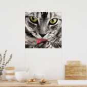 Poster Superbe félin de table lécher la patte (Cuisine)