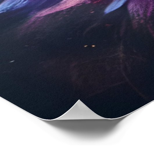 Poster Superbe fleur d'aster (Coin)