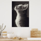 Poster Superbe jeune chaton vue latérale portrait regarda (Cuisine)