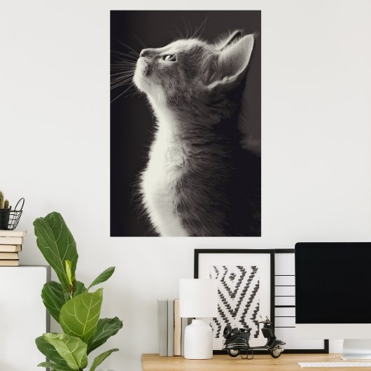 Poster Superbe jeune chaton vue latérale portrait regarda (Bureau à domicile)