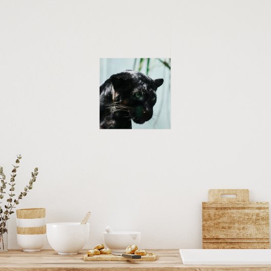 Poster Superbe Panthère noire (Cuisine)