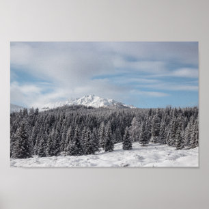 Poster Superbe paysage hivernal