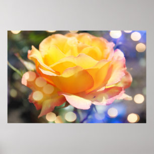 Poster Superbe rose jaune fleur. Photographie florale