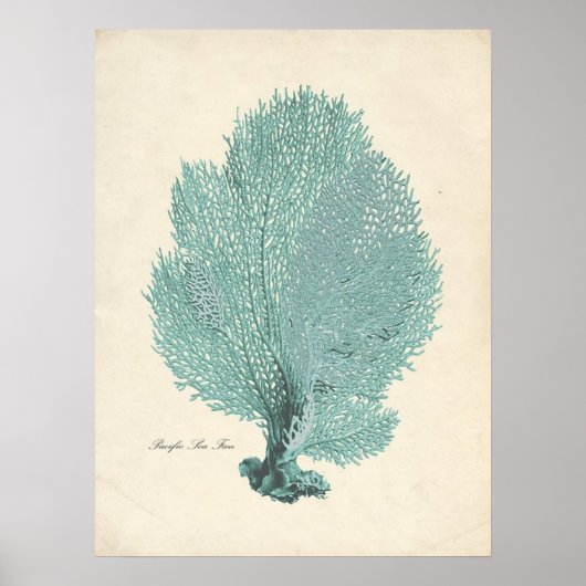 Poster Superbe Ventilateur Turquoise/Aqua Pacific (Devant)