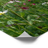 Poster Superbe vue sur les fleurs (Coin)