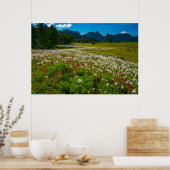 Poster Superfleur d'Avalanche Lily (Cuisine)