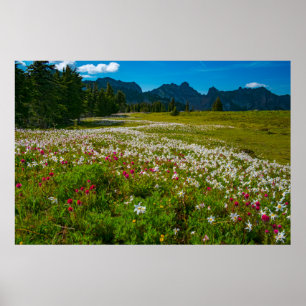 Poster Superfleur d'Avalanche Lily