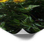 Poster Superfleur du désert (Coin)