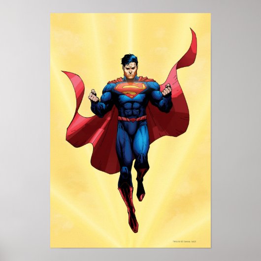 Poster Superman Flying (Devant)