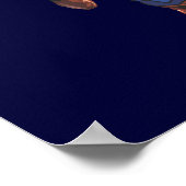 Poster Superman Flying Forward (Coin)