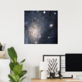 Poster Supernova brillante dans NGC 2403 12x12 (13x13) (Bureau à domicile)