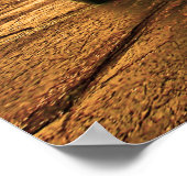 Poster Superoiseau de Plymouth 1970 (Coin)