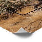 Poster Superstition Mountain, Arizona (Coin)