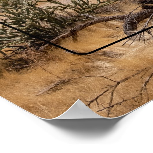 Poster Superstition Mountain, Arizona (Coin)