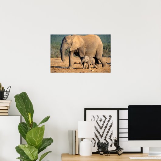 Poster Sur African Elephant mother and calf on the move (Bureau à domicile)