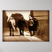 Poster sur Amish Life (Devant)