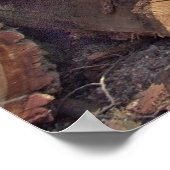 Poster sur bois (Coin)