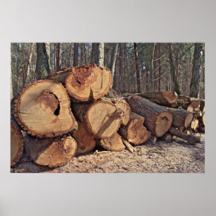 Poster sur bois